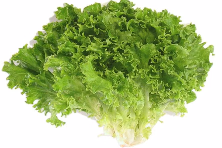 1. Rau diếp cuộn chả cá. Nguyên liệu: Rau diếp, cà rốt, dưa chuột, hành, chả cá sống, thịt ba chỉ xay, giò sống, nấm hương, dứa, gia vị. Tách rau diếp ra từng cây rửa sạch ngâm nước muối, dưa chuột gọt vỏ, cà rốt gọt vỏ cắt khúc 2 cm, dứa cắt thành từng miếng mỏng. Ảnh: laodong.vn.