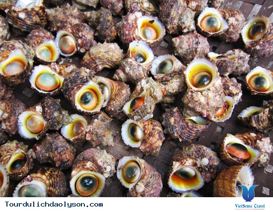 3. Nộm ốc xà cừ. Nguyên liệu: Ốc xà cừ, dưa chuột, tỏi, rau mùi, muối, đường, giấm, dầu mè. Ngâm ốc xà cừ sau đó vớt ra rửa sạch, để ráo. Ảnh: tourdaolyson.com.