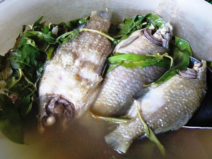 Nguyên liệu: Cá diếc, tâm sen, bí đao. Cá làm sạch ruột, bỏ mang nhưng không bỏ vảy. Cho bí đao, cá diếc, tim sen vào nồi, cho thêm vào khoảng 800ml nước nấu cho sôi lên. Ảnh: nguoiquangnam.vn.