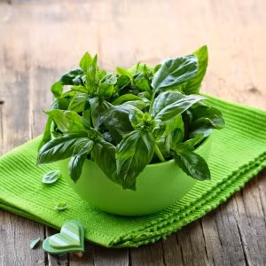 Bắc chảo lên bếp, cho tỏi băm vào phi thơm, sau đó cho tôm vào đảo đều. Khi thịt tôm săn lại và ngả màu hồng nhạt thì tắt bếp, trút tôm ra đĩa để riêng. Húng quế rửa sạch, để ráo nước, chia làm 2 phần: một phần thái nhỏ, một phần để nguyên. Cà chua hành tây thái lát. Ảnh: yeunoitro.net.