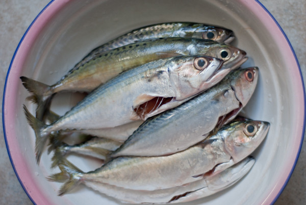 3. Cá bạc má nướng lá chuối. Nguyên liệu: Cá bạc má, hạt dẻ, ớt đỏ, sả, giềng, lá chuối, gia vị. Cho riềng, hạt dẻ sáp, tỏi, nghệ, đường, muối, sả, ớt, hành khô vào máy xay sinh tố xay nhuyễn rồi ướp với cá đá đã rửa sạch trong 30 phút. Ảnh: cooky.vn.