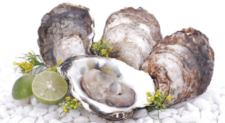 2. Hàu nướng phô mai. Nguyên liệu: Hàu sữa, phô mai. Hàu đem thả vào chậu, đổ ngập nước rửa sạch. Cho hàu lên bếp than nướng sơ. Khi hàu bắt đầu ra nước thì dùng mũi dao thái lách vào đường khép giữa con hào rồi cậy mạnh để tách bỏ 1 bên vỏ hàu. Ảnh: hausong.com.