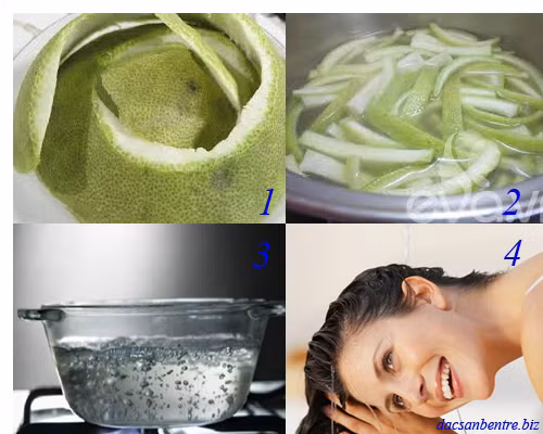 1. Dầu gội vỏ bưởi. Tinh dầu dưỡng tóc trong quả bưởi có tính năng kích thích mọc tóc. Nuôi dưỡng nang tóc phát triển. Ngoài ra, còn giúp cho mái tóc chắc khỏe, óng mượt. Ảnh: traicaysay.net.
