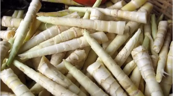 2. Bê xào măng trúc thì là. Nguyên liệu: Thịt bê, thì là, măng trúc đã lột vỏ, hành răm, tỏi, dầu hào, hạt nêm, bột canh, tiêu, bột ngọt, gừng. Ảnh: dacsanbamien.com.vn.