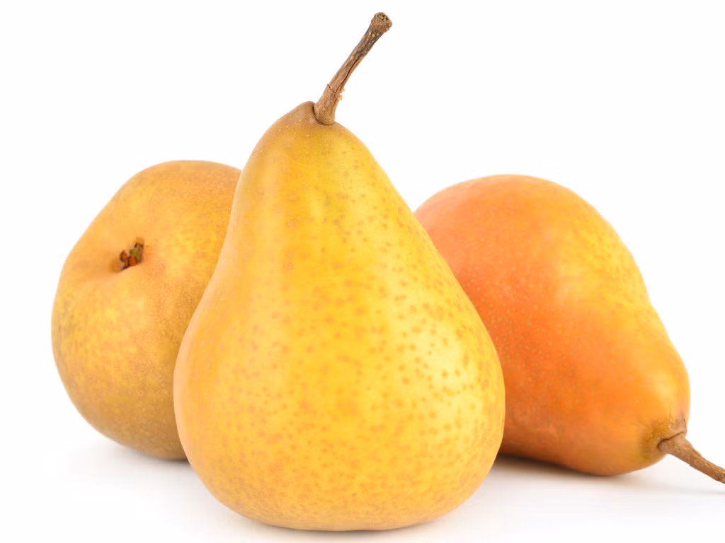 7. Quả lê: Lấy 15 hạt đinh hương nhét vào 1 quả lê đã khoét rỗng ở giữa, hầm chín để ăn. Thuốc có tác dụng chữa chứng hay nôn mửa và nấc do viêm loét dạ dày, hành tá tràng. Ảnh: thanhnien.vn.