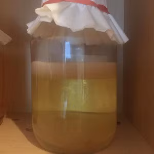 4. Ngải cứu, dấm nuôi: Ngải cứu rửa sạch để ráo, thái (sắt) nhỏ, giã nát. Dấm nuôi đun thật nóng. Tối trước khi đi ngủ, người bệnh nằm dài, lưng trần. Dùng mãnh vải, gói một nhúm thuốc (Ngải cứu giã nhiễn vào dấm nuôi đã đun nóng), xoa dọc theo xương sống chừng 15 phút, trong quá trình xoa, thuốc được hâm nóng thường xuyên. Ảnh: adiva.com.vn.