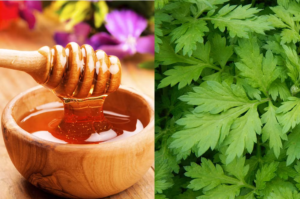 3. Sự kết hợp của ngải cứu, mật ong: Lấy 300g ngải cứu rửa sạch, giã nát, thêm 2 muỗng mật ong (ruồi, nghệ), vắt lấy nước uống trưa, chiều. Cách điều trị: Uống liên tục trong 1-2 tuần. Ảnh: chuyenkhoaxuongkhop.ne