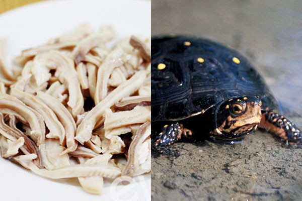 4. Thịt rùa đen, dạ dày lợn. Mỗi lần dùng 200g thịt rùa đen, 200g dạ dày lợn. Hai thứ này thái nhỏ cho thêm một ít muối và cho thêm 4 bát nước ninh nhỏ lửa cho đến khi chỉ còn ½ bát. Dùng ăn cả nước lẫn cái. Bài thuốc từ dạ dày này có công dụng trị bệnh viêm loét dạ dày mãn tính. Ảnh: adiva.com.vn.