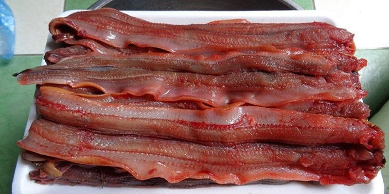 2. Lươn cuốn thịt. Nguyên liệu: Lươn đồng, thịt nạc vai xay, mộc nhĩ, sả, hành khô, nấm hương, nghệ, hành lá, cà chua, ớt, rau răm. Lươn làm sạch rồi lọc xương. Sả và ớt băm nhỏ. Ướp lươn với 1 thìa gia vị, 1 thìa nước mắm, sả, ớt và nước ép nghệ khoảng 30 phút. Ảnh: trieuphunongdan.com.