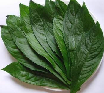 4. Lươn cuốn lá xương sông. Nguyên liệu: Thịt lợn băm, nấm mèo, lá xương sông, lươn, tiêu, bột nêm, dầu chiên. Lươn cắt dài khoảng 5-6cm, lóc xương, nấm mộc nhĩ thái nhỏ, thịt xay và lá xương sông đã rửa sạch. Ảnh: lamdepsausinh.com.