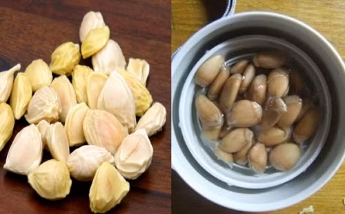 3. Hạt bưởi: Chọn lấy khoảng 100g hạt bưởi tươi, tức là hạt vừa lấy trong quả bưởi ra và để nguyên. Đổ vào cốc khoảng 200ml nước sôi, cho hạt bưởi vào rồi đậy kín và ủ trong khoảng 2-3 giờ. Chờ cho chất nhầy xung quanh hạt bưởi tan ra hết trong nước rồi chắt lấy nước và bỏ hạt. Dùng nước này để uống sau bữa ăn 2 tiếng. Mỗi ngày uống một lần. Ảnh: CumarGoldFast.vn.