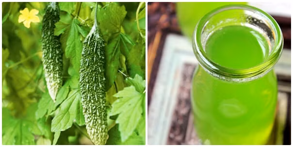 Bên cạnh đó, nước ép mướp đắng khi trộn cùng các nguyên liệu sau sẽ nâng cao hiệu quả trị bệnh và cải thiện sức khỏe tốt lên gấp 10 lần hoặc hơn thế. Ảnh: phunutoday.vn.