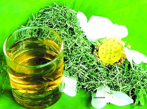 Có thể dùng trinh nữ hoàng cung khô hoặc tươi. Dùng lá tươi thì lấy khoảng 3 lá, rửa sạch, cắt nhỏ. Cho 2 chén nước vào sắc lấy nước uống 3 lần/ngày. Nếu dùng lá khô thì lấy khoảng 20g, sắc với 2 bát nước uống 3 lần/ngày. Uống sau khi ăn. Uống 20-25 ngày, nghỉ 10 ngày rồi lại uống. Ảnh: GiaDinh.TV.