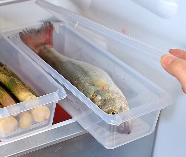 Nếu bạn mua hải sản với số lượng nhiều, không thể ăn hết, hãy để giữ hải sản tươi ở trong túi hoặc hộp và đặt nó trong tủ đông và sau đó chế biến dần. Ảnh: dienmayxanh.com.