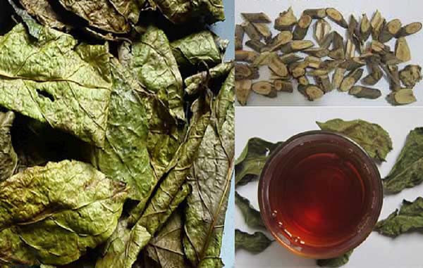 Cách dùng rất đơn giản, chỉ cần pha nước sôi uống hàng ngày, sau thời gian khoảng 3 đến 4 ngày sử dụng liên tục bạn sẽ thấy chuyển biến rõ rệt về chỉ số huyết áp. Ảnh: GiaDinh.TV.