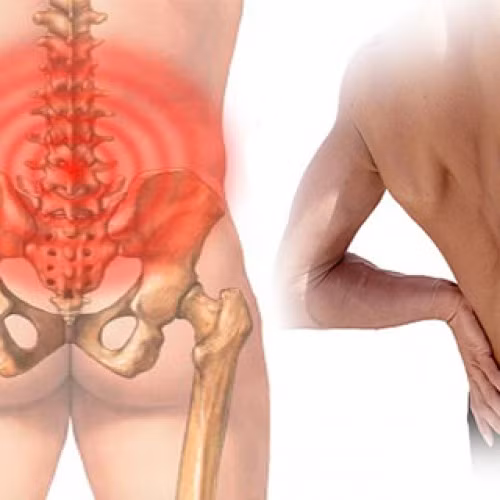 Trị thận dương suy kém kèm theo hiện tượng bụng dưới đau tức: râu mèo 16g, mã đề 20g, rễ tranh 12g, tô mộc 12g, rễ cỏ xước 16g, rễ cây ruột gà 12g. Dược liệu khô, sắc với nửa lít nước 150 - 200ml, chia làm 2 lần uống trước bữa ăn. Ảnh: suythan.net. (Thông tin trong bài chỉ mang tính chất tham khảo, trước khi sử dụng bài thuốc, vui lòng hỏi ý kiến bác sĩ).