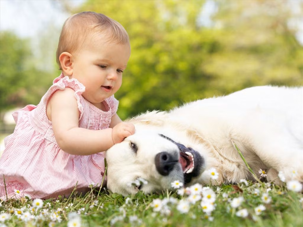 8. Nuôi thú cưng: Đó có thể là một chú chó, một con mèo, một con chim hay thỏ đều được. Đây là cách tuyệt vời để dạy trẻ những bài học về lòng tốt và trách nhiệm - những phẩm chất để trở thành một người sống đẹp. Ảnh: meocun.com.