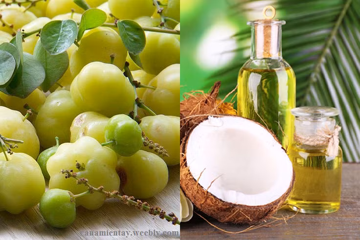 Đun hỗn hợp trên trong vòng 5 phút rồi bắc ra để nguội. Cho nước cốt dầu dừa này vào bình thủy tinh và sử dụng để thoa lên tóc hàng ngày để kích thích mọc tóc. Ảnh: dptrangminh.com.