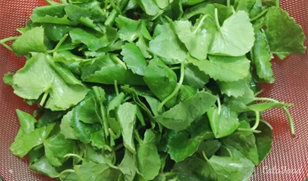 1. Canh rau má nấu thịt. Nguyên liệu: Rau má, thịt nạc, hành khô, gia vị. Rau má nhặt sạch lá hư, rễ rồi rửa sạch, để ráo nước. Hành khô bóc vỏ, bằm hoặc thái nhỏ. Ảnh: calofood.vn.