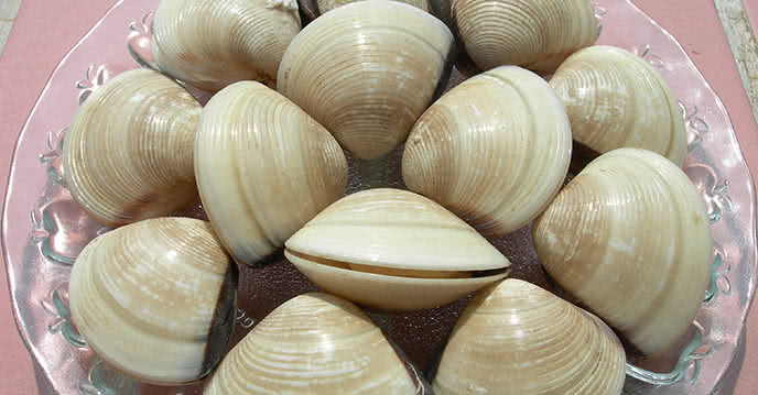 2. Canh ngao nấu thì là. Nguyên liệu: Ngao, thì là, mì chính, hạt nêm, muối. Ngao ngâm trong nước sạch tầm 40 phút cho ngao nhả chất bẩn ra. Lá thì là thái nhỏ. Ảnh: Ảnh: pasgo.vn.