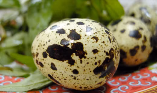 1. Thịt kho trứng cút cà ri sả ớt. Nguyên liệu: Trứng cút, bột cà ri, sả, thịt đùi, tỏi, ớt. Trứng cút luộc chín, bóc vỏ. Thịt rửa sạch. Thái miếng vừa ăn ướp gia vị cho thấm thịt. Đập dập tỏi, ớt, cà ri, nước mắm, bột ngọt để ướp thịt 10 phút. Ảnh: giadinh.net.vn.