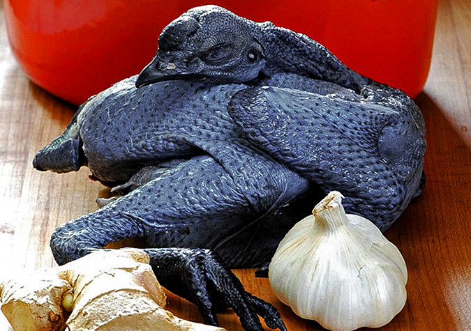 1. Gà ác hầm đẳng sâm: Gà ác là một loại thực phẩm tốt cho phụ nữ, gà ác kết hợp với các vị thuốc đông y là một món ăn giúp bồi dưỡng cơ thể, ích khí, hòa huyết. Ảnh: adayroi.com.