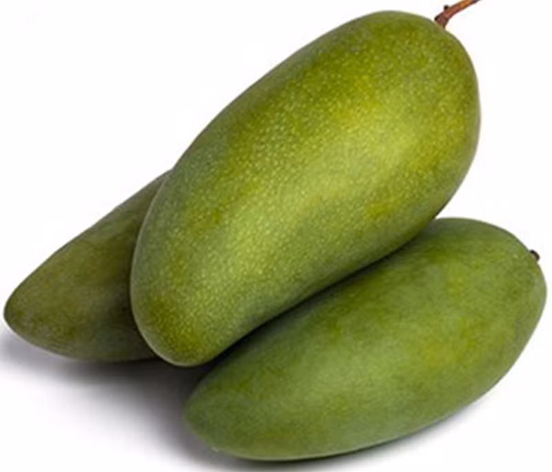 3. Gỏi xoài thịt bò khô, chua cay. Nguyên liệu: Xoài tượng, ớt hiểm, bò sợi, nước mắm, ớt, lá bạc hà. Xoài xanh thái sợi, thái vừa đừng thái nhỏ quá. Thịt bò khô mua về nếu sợi to thì xé cho nhỏ lại. Ảnh: traicayxuatkhau.com.