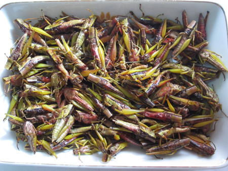 2. Châu chấu chiên giòn sốt sa tế. Nguyên liệu: Châu chấu đã làm sẵn, bột năng, tỏi, muối, hạt nêm, tiêu, phần tương sa tế: một nhúm tôm khô, 1-2 nhánh sả, ớt bột, 1 thìa canh bơ lạc, muối, đường, nước mắm. Ảnh: tinmoi.vn.