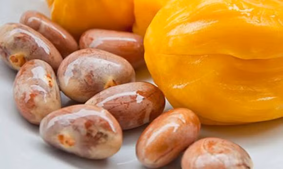 3. Món "phụng hoàng tam tơ ấp trứng": Lớp bún tàu trong vắt trộn trứng tráng thái chỉ, cà rốt... lót dưới con gà mái dầu hấp, xung quanh là hạt mít lăn mè rán nổi phồng. Ảnh: Ngoisao.vn.