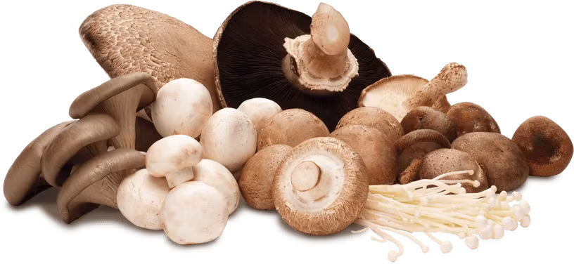 3. Nấm kho ngô bao tử. Nguyên liệu: Nấm, ngô bao tử, gia vị, hành lá, rau mùi, tỏi. Nấm rửa sạch, cắt bỏ chân, ngâm nấm vào âu nước muối pha loãng khoảng 15 phút sau đó vớt ra rửa lại cho thật sạch, để lên rổ cho ráo nước. Ảnh: wolvesfitness.co.uk.