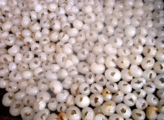 2. Long nhãn. Nguyên liệu: Nhãn cùi dày. Bóc vỏ, móc hạt. Long nhãn thành phẩm khi lấy hạt xong phải tròn múi và căng như lúc còn nguyên hạt. Rửa sạch và để ráo nước. Ảnh: v2.tuyengiaohungyen.vn.