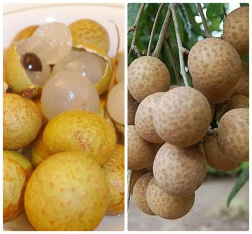 1. Rau câu nhãn. Nguyên liệu: Nhãn tươi, bột rau câu dẻo, đường cát trắng, nước dừa tươi, khuôn nhỏ. Cho đường và bột rau câu vào tô trộn đều. Nhãn ngâm với nước muối loãng, rửa sạch để ráo. Sau đó gỡ bỏ vỏ và hạt thì được cơm nhãn và nước nhãn. Ảnh: vuoncaydep.com.