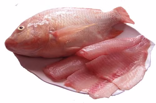 2. Phi lê cá diêu hồng chiên xù. Nguyên liệu: Cá diêu hồng to, bột chiên xù, bột chiên giòn, trứng gà, dầu ăn, hạt nêm, hạt tiêu, nước mắm, đường. Ảnh: Luckysaigon.vn.