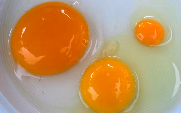 3. Phi lê cá diêu hồng giòn sốt lòng đỏ trứng. Nguyên liệu: Cá diêu hồng, trứng gà, cà chua bi, rau thơm, tỏi, ớt, mắm, đường, dầu ăn. Cá diêu hồng làm sạch, bỏ mang, vảy, nội tạng. Ảnh: Healthplus.vn.