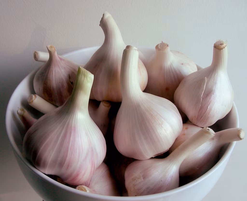 1. Dấm tỏi. Nguyên liệu: Tỏi, ớt, dấm gạo, muối, nước sôi. Tỏi bóc vỏ, rửa sạch. Cho hai thìa muối vào âu nước sôi già. Cho tỏi vào âu đó ngâm 10 phút. Sau đó, vớt ra để ráo. Ảnh: flickr.com.