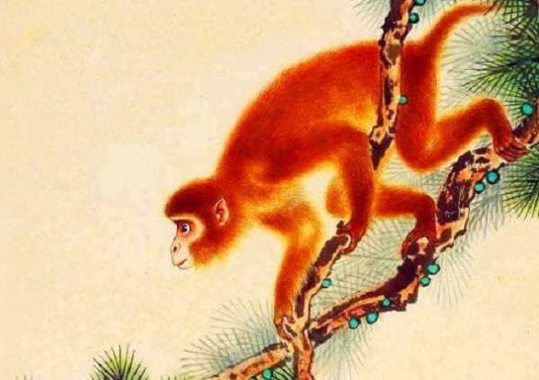 4 tuoi van do nhu son, doi doi ngoan muc, tien bac ngap ket-Hinh-3