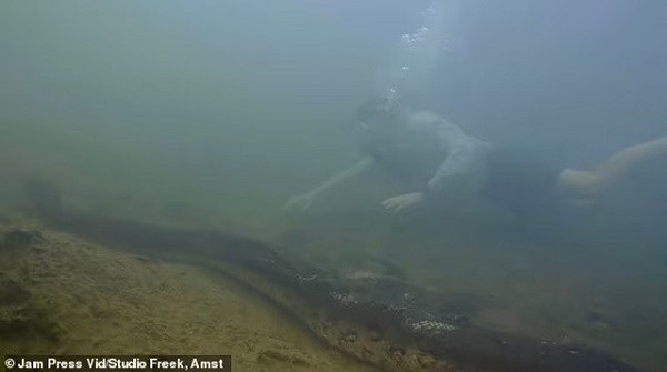 Phát hiện loài trăn Anaconda lớn nhất thế giới - Hình 2 Phat hien loai tran Anaconda lon nhat the gioi-Hinh-2
