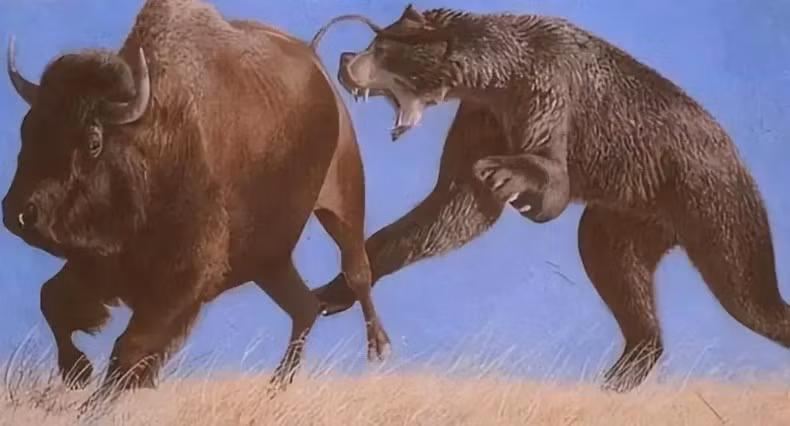 Tai sao dong vat duc lai chien dau quyet liet de giao phoi?-Hinh-2