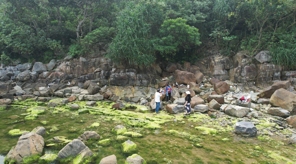 Nhiều du khách thích thú với sắc xanh trải dài trên một khu vực rạn. Ảnh: MINH TRƯỜNG. 