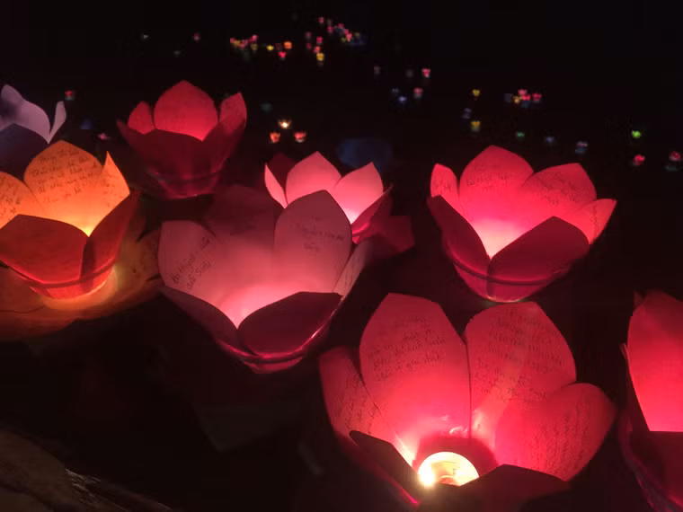 Những ước nguyện được ghi trên những cánh hoa đăng với mong ước gia đình bình an, yêu thương hòa thuận lẫn nhau.