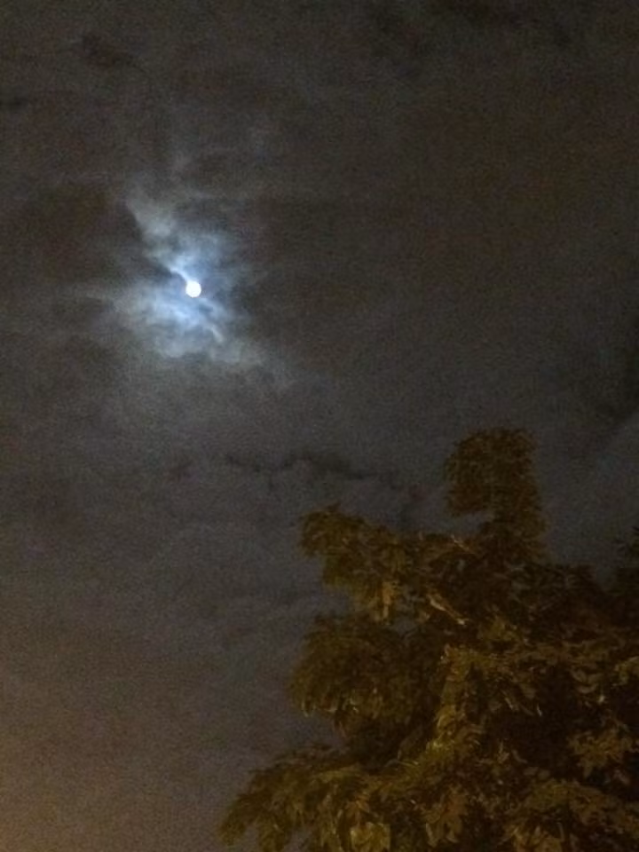 Đến khoảng 20h tối, mặt trăng đã hiện lên khá rõ, tuy nhiên trái với dự đoán của nhiều người, "siêu trăng" được nhắc đến trong vài ngày nay thực chất không quá khác biệt. Theo cảm nhận của cô Trần Thị Ngọc Mai, 42 tuổi, ở làng Phú Đô, cô cho rằng siêu trăng không to khổng lồ như cô tưởng tượng trước đó và cũng chỉ sáng rõ, tròn như trăng trong những ngày rằm thông thường.