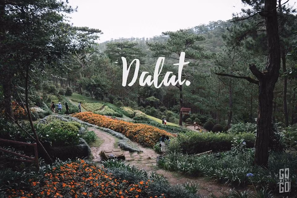 Thành viên Go Went Go cho biết chuyến du lịch Việt Nam của họ hoàn toàn ngẫu hứng, nó xuất phát từ ý muốn tìm đến một nơi có vẻ đẹp yên bình và con người thân thiện. Và khi đến Mũi Né, Đà Lạt, nhóm bạn Thái Lan đã không phải thất vọng. Khung cảnh tựa sa mạc ở Mũi Né, biển xanh, nắng vàng ở khu vực ven biển cùng với không gian xanh ngắt được tô điểm bởi vô vàn sắc hoa ở Đà Lạt đã khiến các thành viên nữ trong nhóm "đi không muốn về".