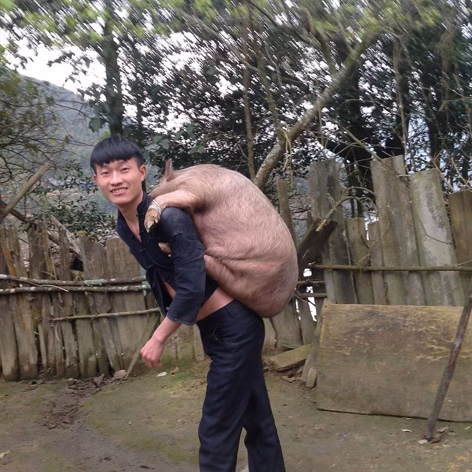 Do chứa đựng quá nhiều tình cảm và những ngôn từ giản dị, gần gũi nên người đọc đều không nghĩ đây là một bức thư "bịa" để thu hút sự chú ý trên mạng xã hội. Dò tìm danh tính và thông tin của chủ nhân bức thư tay này, được biết nhân vật đó tên thật là Giàng A Quả, sinh năm 1987, là người dân tộc H'mông, sinh ra và lớn lên ở Sa Pa, Lào Cai. Quả Bông Lan A Pao là tên gọi khác mọi người ở quê thường gọi A Quả. Trước đây A Quả cũng làm nông nhưng hiện tại đã xuống Hà Nội theo học Đại học Giao thông Vận tải.