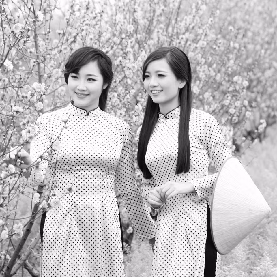 Ngoài chuyên môn giỏi, cô giáo Hồng Anh còn tích cực tham gia rất nhiều hoạt động, hội thi và giành được một số giải thưởng, chiến thắng đáng tự hào, tiêu biểu nhất là giải Nhất Hội thi Cô giáo tài năng duyên dáng 2015. Trong hội thi này, cô giáo Phan Hồng Anh đã gây ấn tượng hết ở cả 2 phần thi đó là trình diễn trang phục Áo dài và Tài năng. Nhiều người nhận xét cô Hồng Anh không khác gì đang tham dự một cuộc thi dành cho các Hoa hậu.