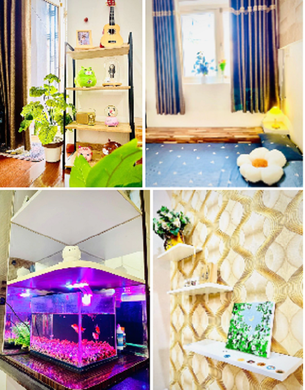 Thue nha rong hon de thoa suc decor, duoc song trong phong rieng-Hinh-4