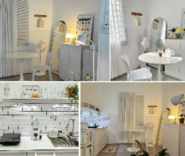 Thue nha rong hon de thoa suc decor, duoc song trong phong rieng-Hinh-5