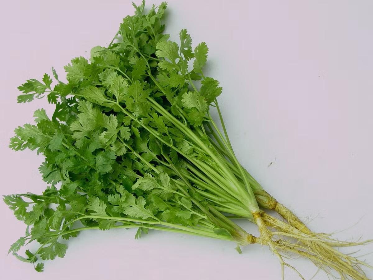 Bên cạnh đó, bạn cũng nên xào gan lợn với rau cần, rau mùi, cải xoăn. Ảnh: mediacdn.