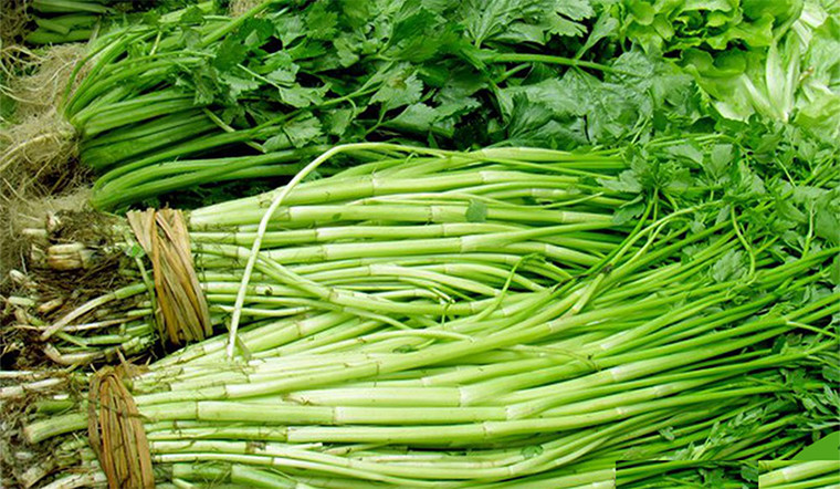 Lý do là trong các loại rau này chứa nhiều chất cellulose và acid oxalic, khi ăn với gan lợn sẽ gây rối loạn quá trình hấp thụ sắt của cơ thể. Ảnh: tgdd.