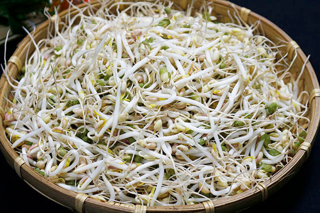 Một trong số đó là giá đỗ. Bạn không nên xào gan lợn với giá đỗ vì 2 loại thực phẩm này kỵ nhau. Ảnh: media.