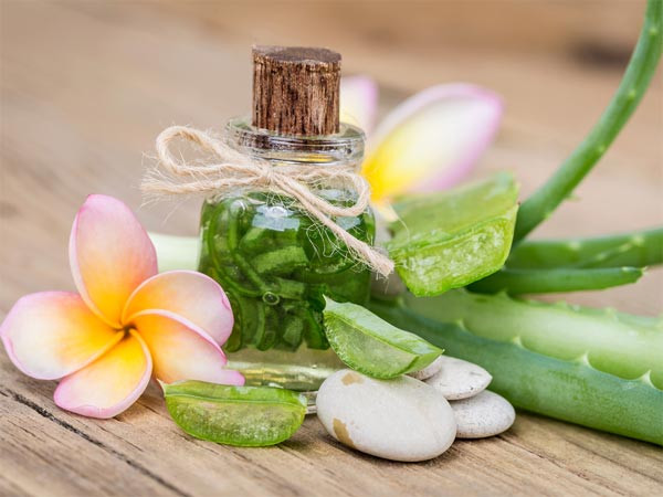  2. Tinh dầu tràm trà + nha đam cho làn da bị mụn trứng cá: Cho 2 thìa gel nha đam và 2 giọt tinh dầu tràm trà vào trộn đều. Thoa hỗn hợp lên da mặt và để yên trong 10 phút. Rửa mặt sạch bằng nước âm ấm. Áp dụng phương pháp này 2 lần/tháng để có làn da đẹp hoàn hảo.